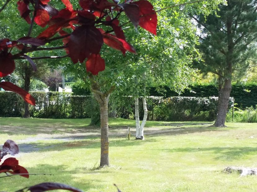 photo-637642180424609485-571