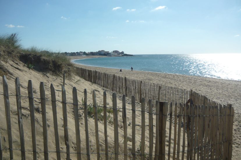 photo-637642191899642473-571